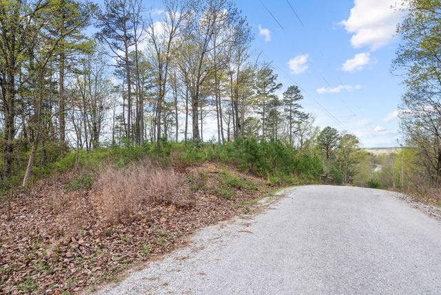 81 Crest Ct, Waverly, TN 37185