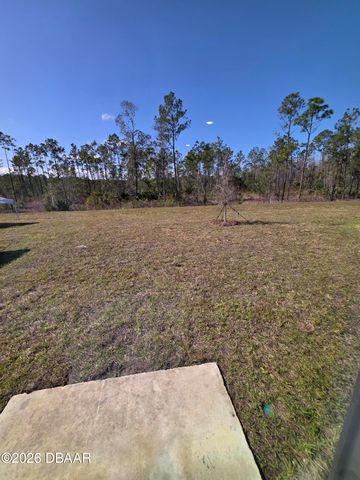 1243 Belle Isle Lane, Daytona Beach, FL 32124