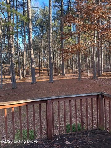386 Pine Ridge Dr, Brandenburg, KY 40108