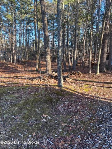 386 Pine Ridge Dr, Brandenburg, KY 40108