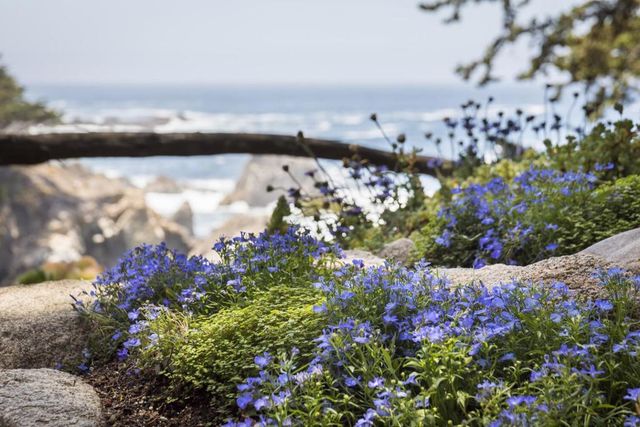 Spindrift Road, Carmel, CA 93923