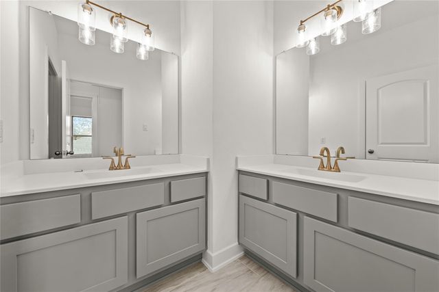 26145 North Skylight Brook Circle, Montgomery, TX 77316