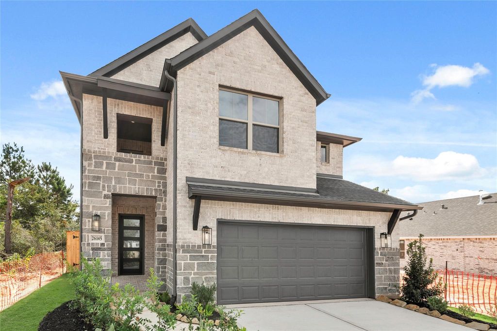 26145 North Skylight Brook Circle, Montgomery, TX 77316