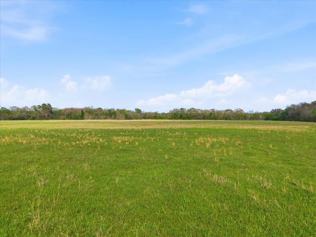 TBD County Road 1151, Miller Grove, TX 75433
