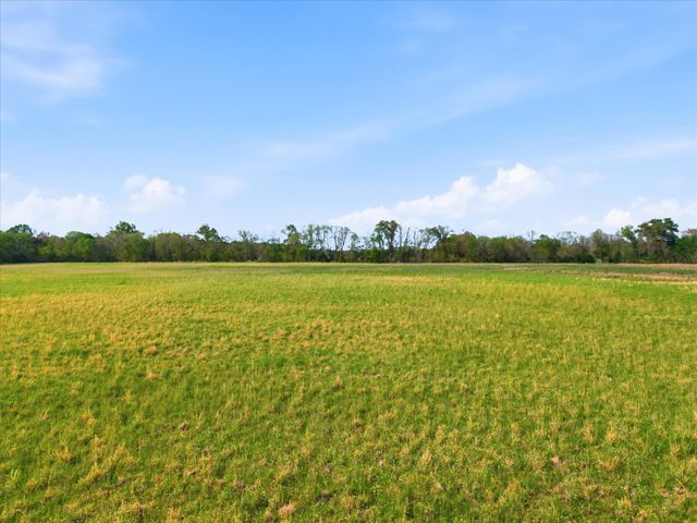 TBD County Road 1151, Miller Grove, TX 75433