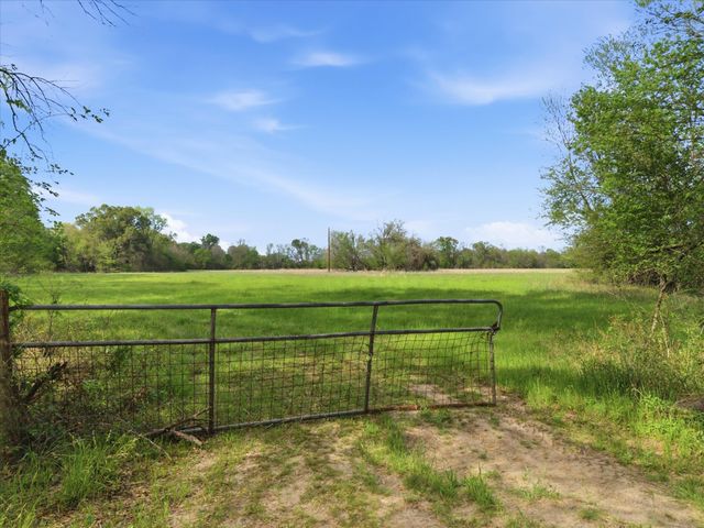 TBD County Road 1151, Miller Grove, TX 75433