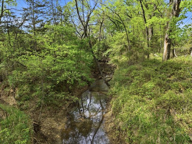 TBD County Road 1151, Miller Grove, TX 75433