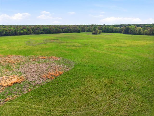 TBD County Road 1151, Miller Grove, TX 75433