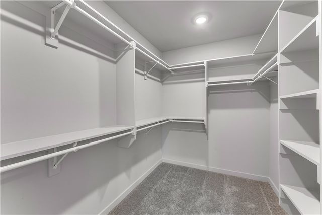 2209 S Magnificent Loop, Fayetteville, AR 72701