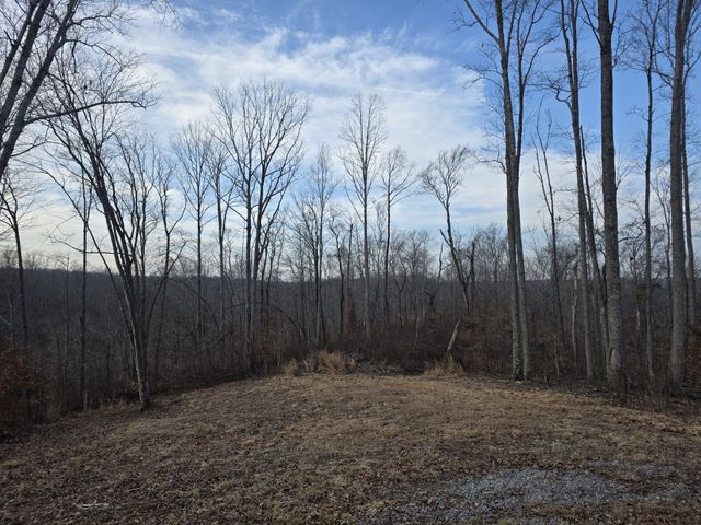617 Pleasant Hill Cemetery Ln, Gainesboro, TN 38562