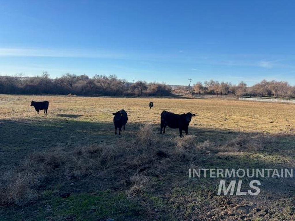 2925 S 1050 E, Hagerman, ID 83332 photo 18
