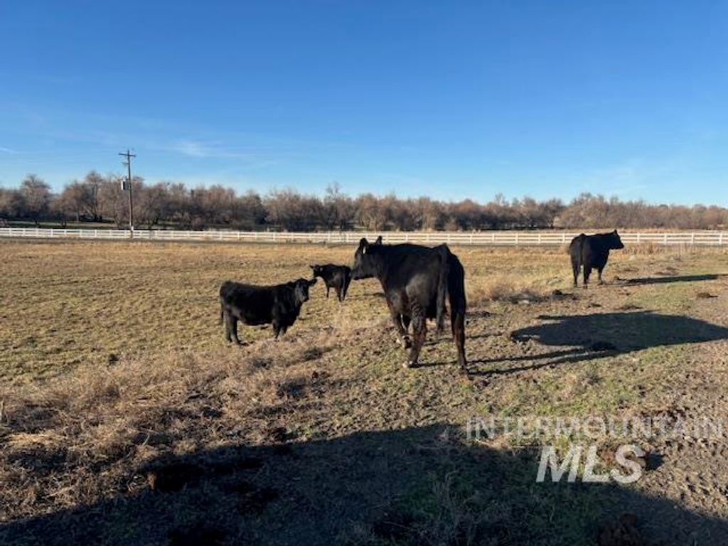 2925 S 1050 E, Hagerman, ID 83332 photo 19