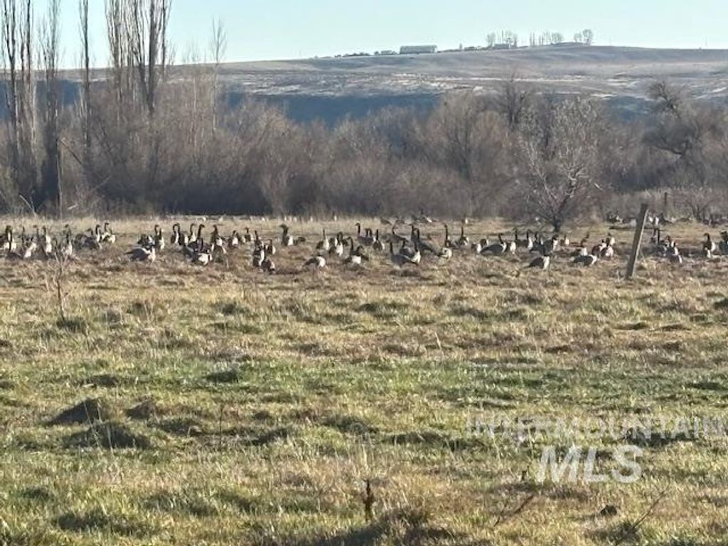 2925 S 1050 E, Hagerman, ID 83332 photo 21