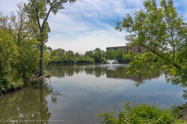 6004 E Lake Drive 1F, Lisle, IL 60532