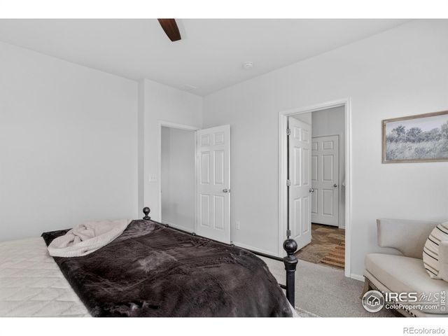 6734 Grainery Road, Timnath, CO 80547