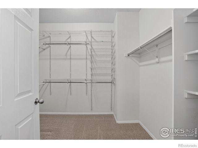 6734 Grainery Road, Timnath, CO 80547