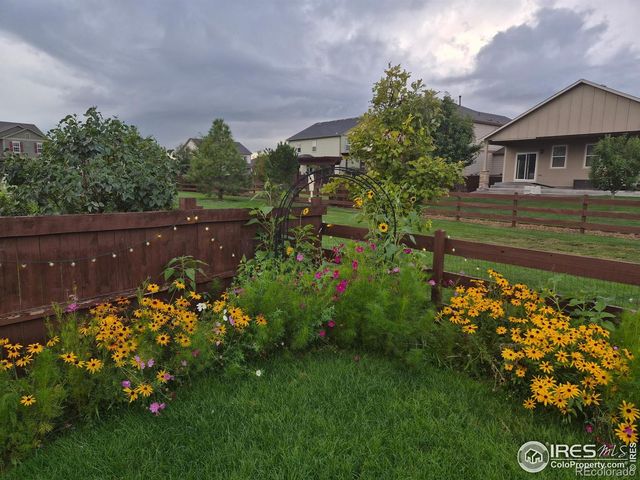 6734 Grainery Road, Timnath, CO 80547