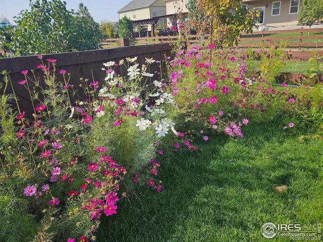 6734 Grainery Road, Timnath, CO 80547