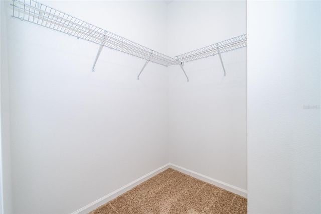 4767 CRAGMERE LOOP, Clermont, FL 34711