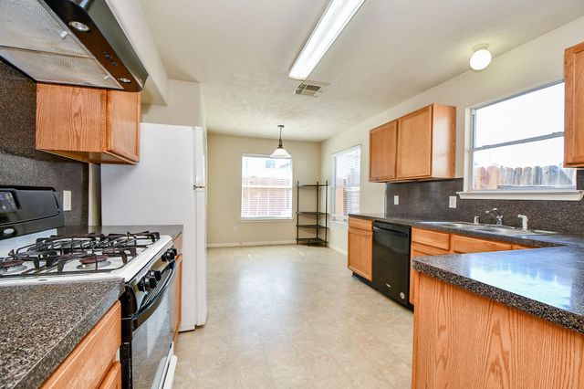 13979 Maximos Dr, Houston, TX 77083