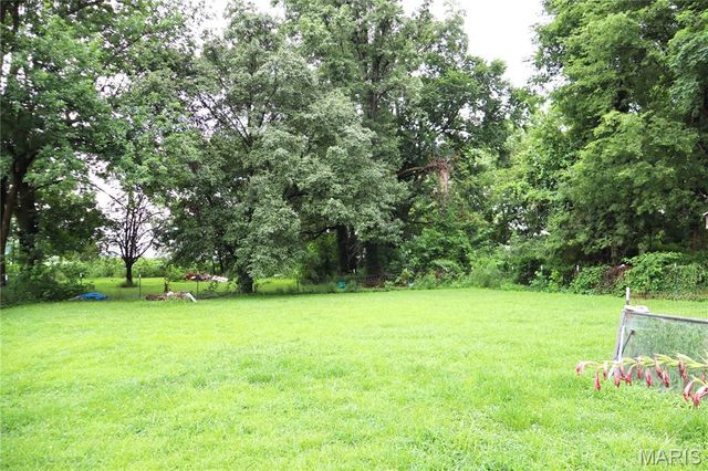 16638 Delmo Road, Essex, MO 63846