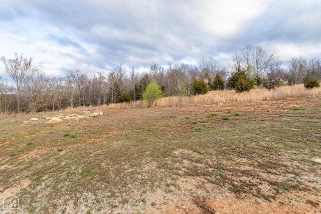 7 Jo Jo Street, Hardy, AR 72542