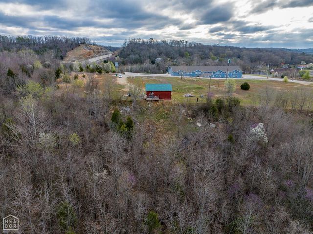 7 Jo Jo Street, Hardy, AR 72542