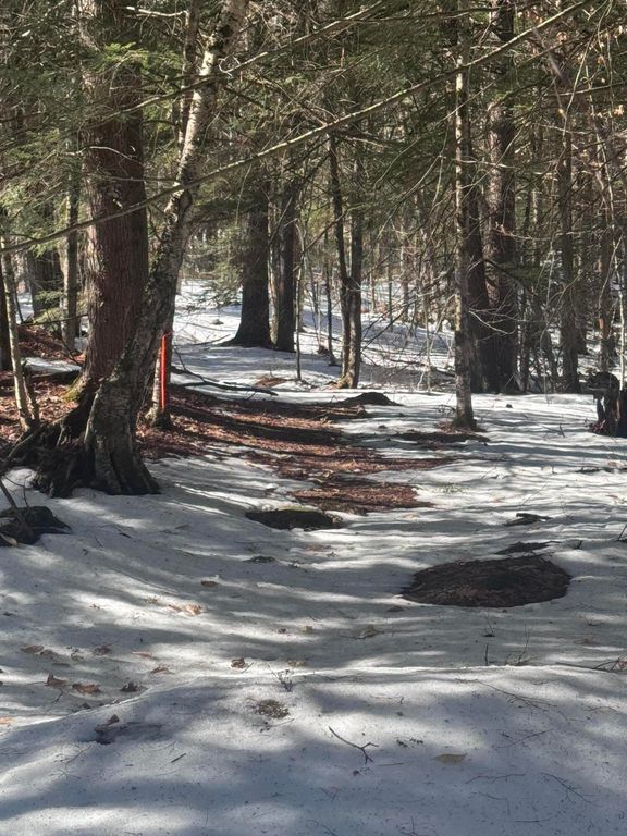 Lot #10 Goose Pond Road, Windham, ME 04062 — exterior