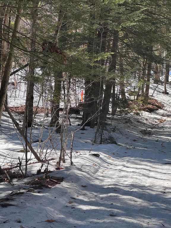 Lot #10 Goose Pond Road, Windham, ME 04062 — photo 2