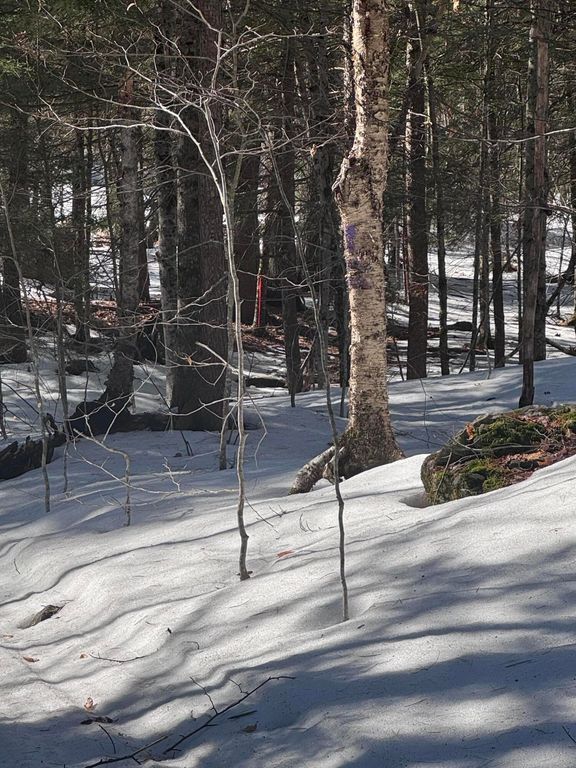 Lot #10 Goose Pond Road, Windham, ME 04062 — photo 3