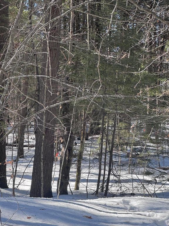 Lot #10 Goose Pond Road, Windham, ME 04062 — photo 4