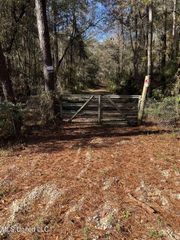 Nhn George Wise Road, Carriere, MS 39426