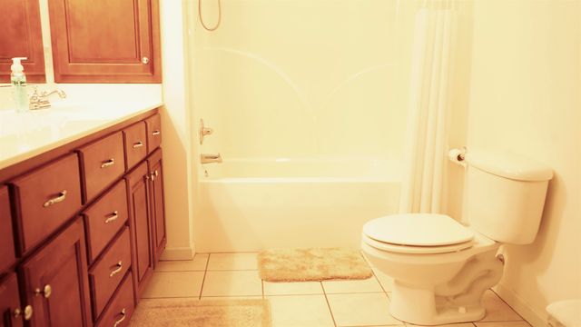 170 PING HILL CV, Counce, TN 38326