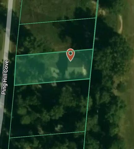 170 PING HILL CV, Counce, TN 38326