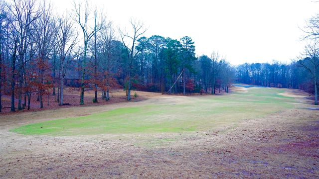 170 PING HILL CV, Counce, TN 38326