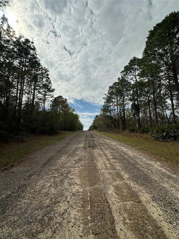 1639 W PENDLETON STREET, Dunnellon, FL 34434