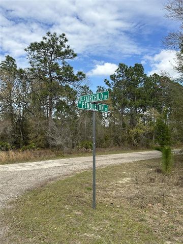 1639 W PENDLETON STREET, Dunnellon, FL 34434