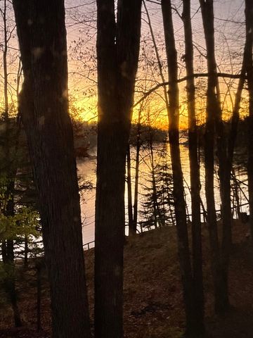 6332 Bobcat Trail, Alger, MI 48610
