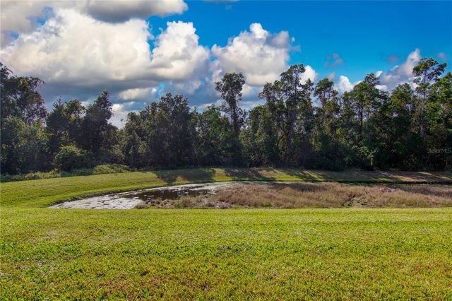 196 OCEAN BLUFF DRIVE, Poinciana, FL 34759