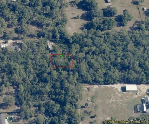 1133 W Cushman Court, Lecanto, FL 34461