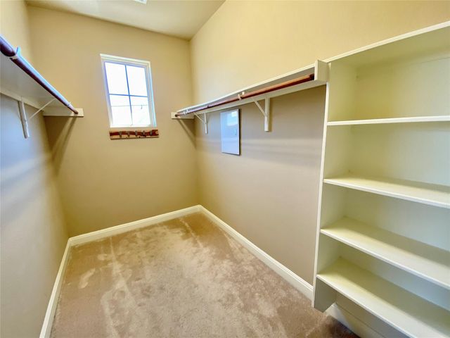 12437 Gray Camlet LN, Austin, TX 78748