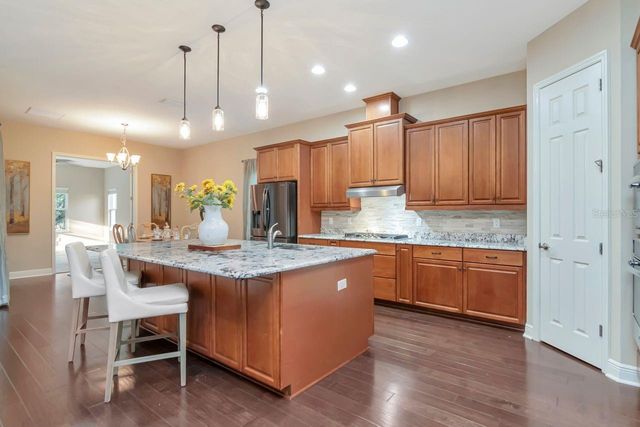 19331 RANCHVIEW COURT, Land O Lakes, FL 34638