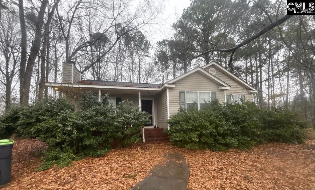 14 Holliston Court, Chapin, SC 29036