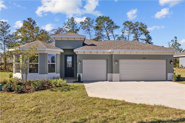 1565 W Pearson Street, Hernando, FL 34442
