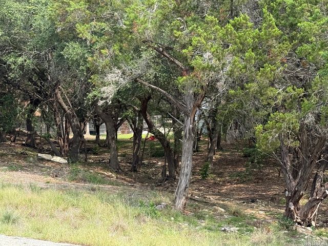1213 CEDAR CREST DR, Canyon Lake, TX 78133