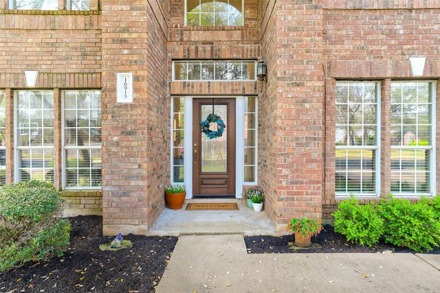 16919 Mouse Trap DR, Round Rock, TX 78681