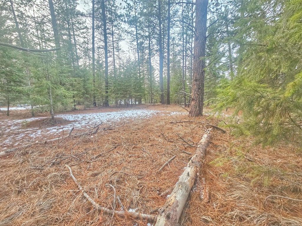 270 Eagle Dr, Chewelah, WA 99109 photo 2