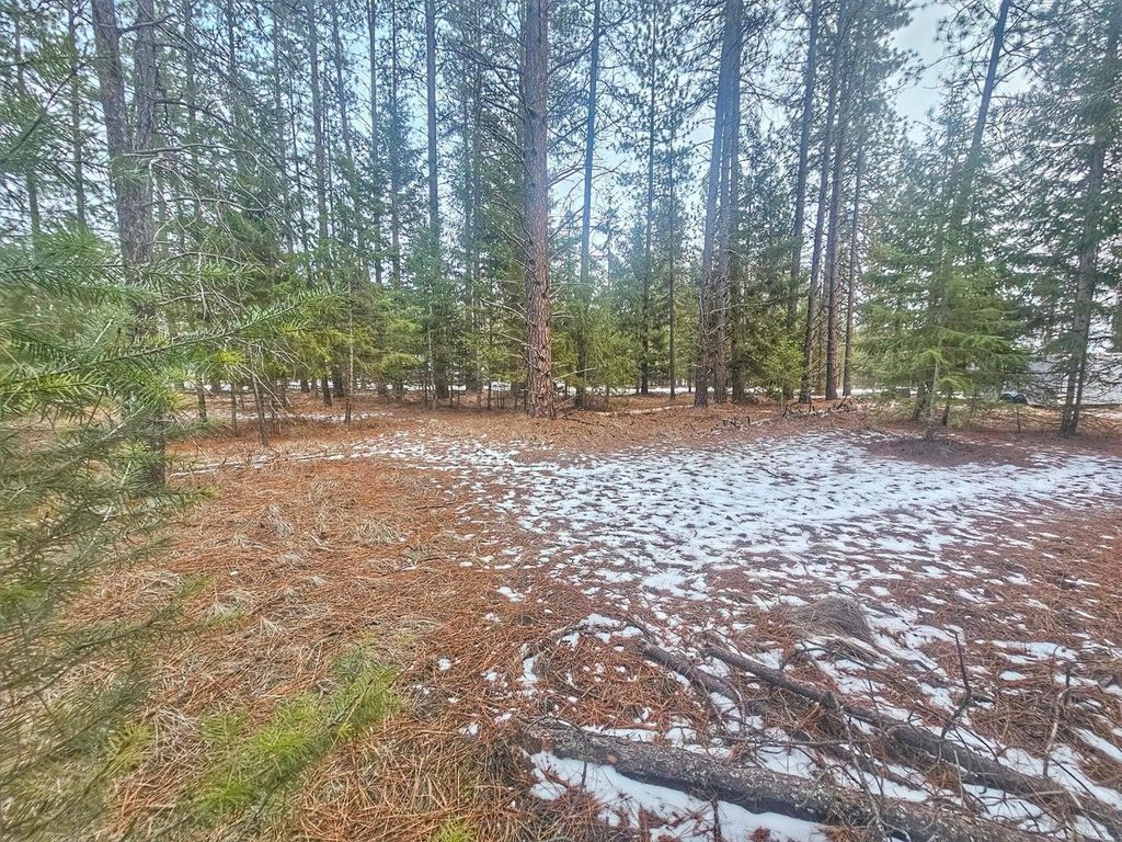 270 Eagle Dr, Chewelah, WA 99109 photo 3