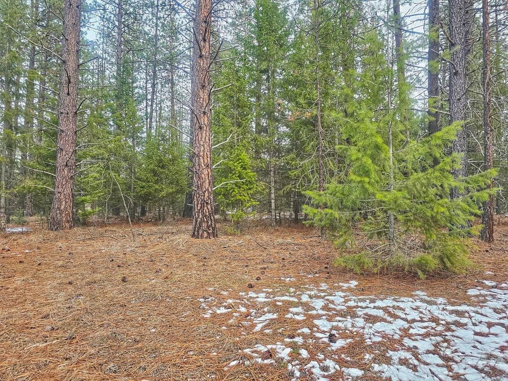 270 Eagle Dr, Chewelah, WA 99109 photo 4