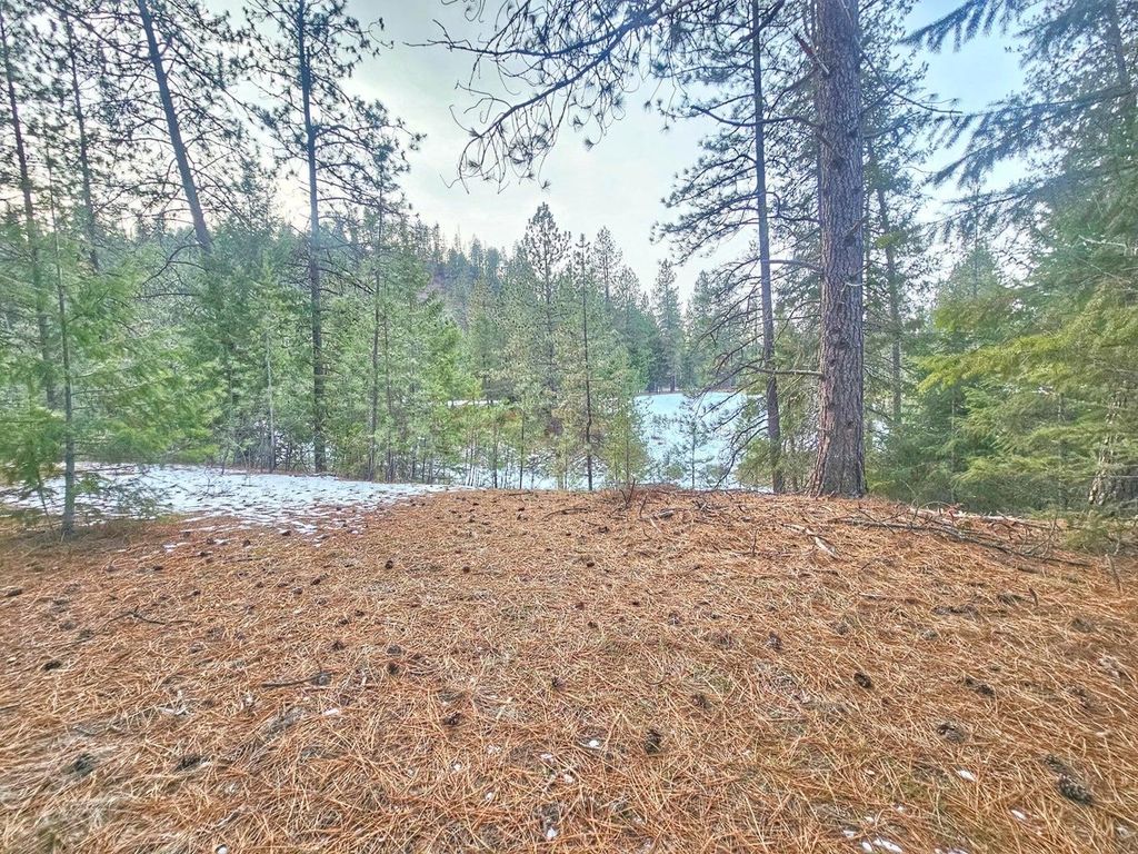 270 Eagle Dr, Chewelah, WA 99109 photo 5